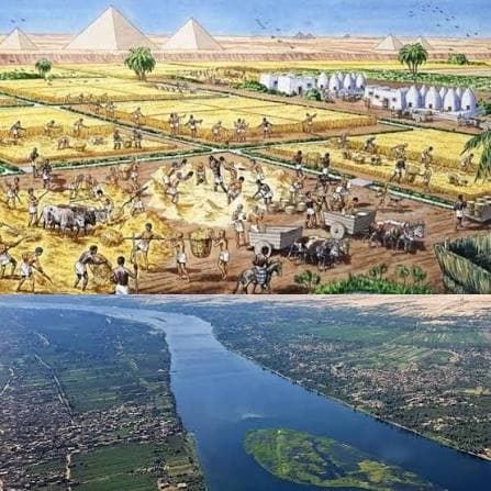 An aerial depiction of the Nile River flooding over divided earthen agricultural basins