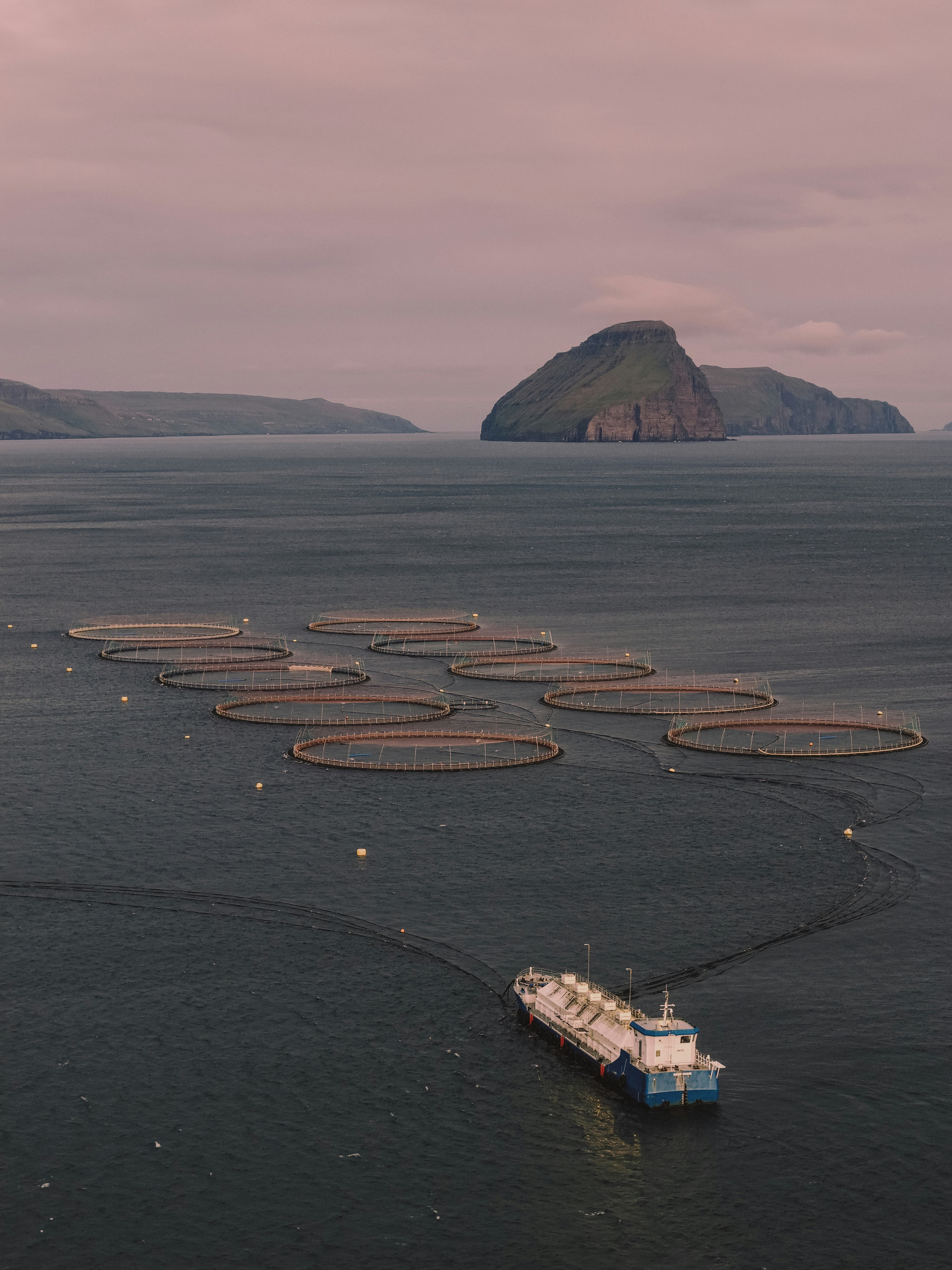 Aquaculture - Fish, shellfish & aquatic farming
