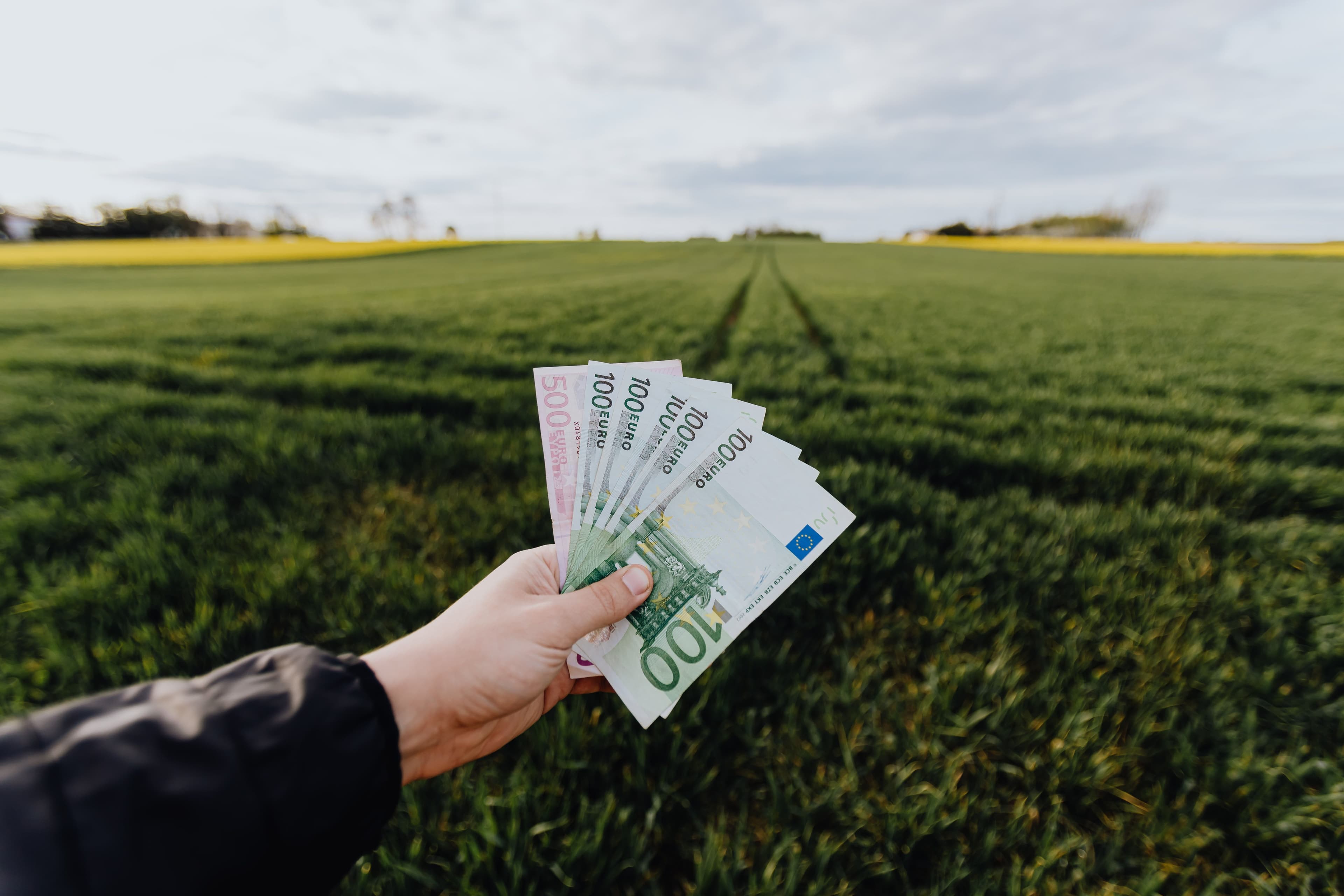 Economics & Policy - Markets, food systems & policy