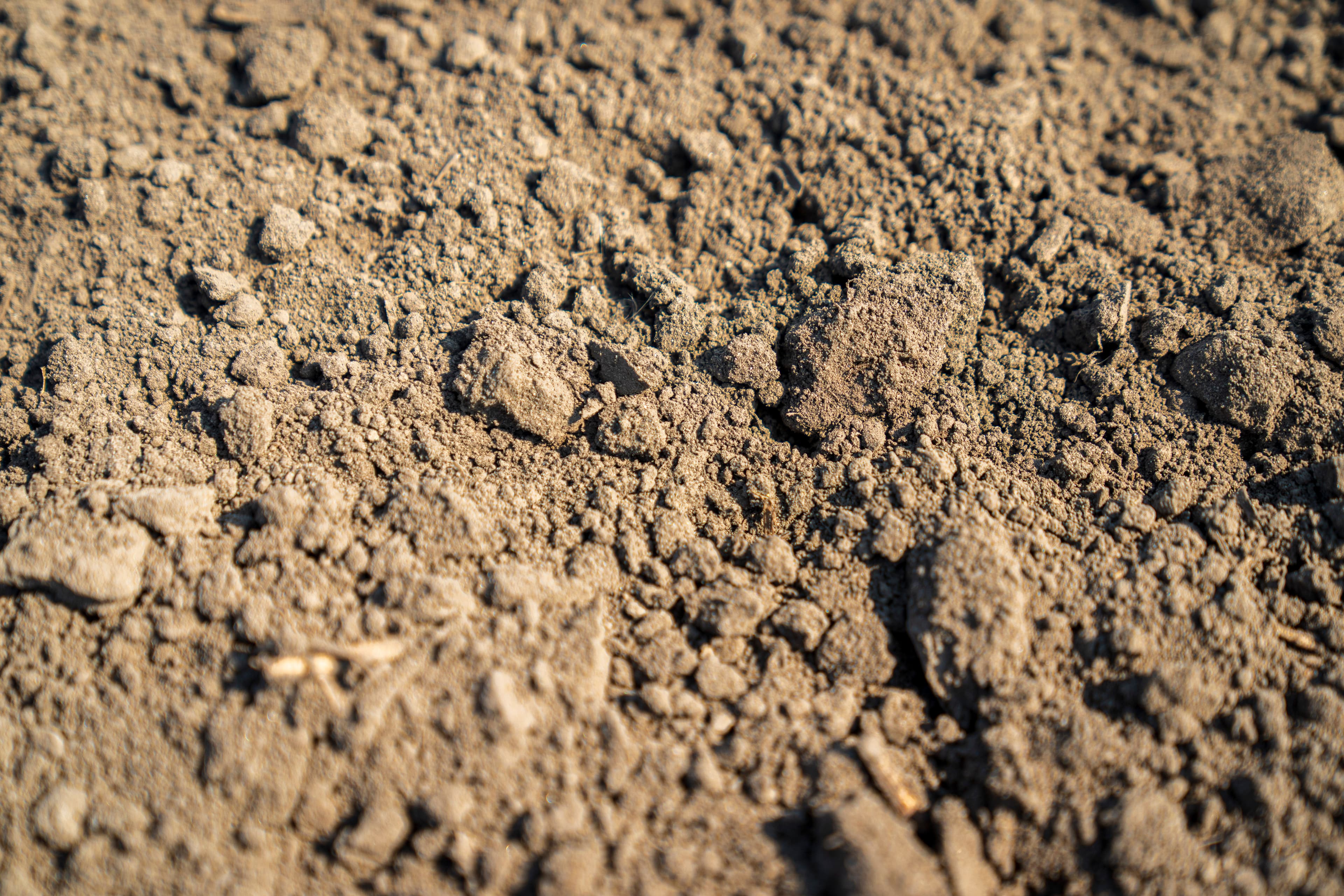 Soil - The foundation of life