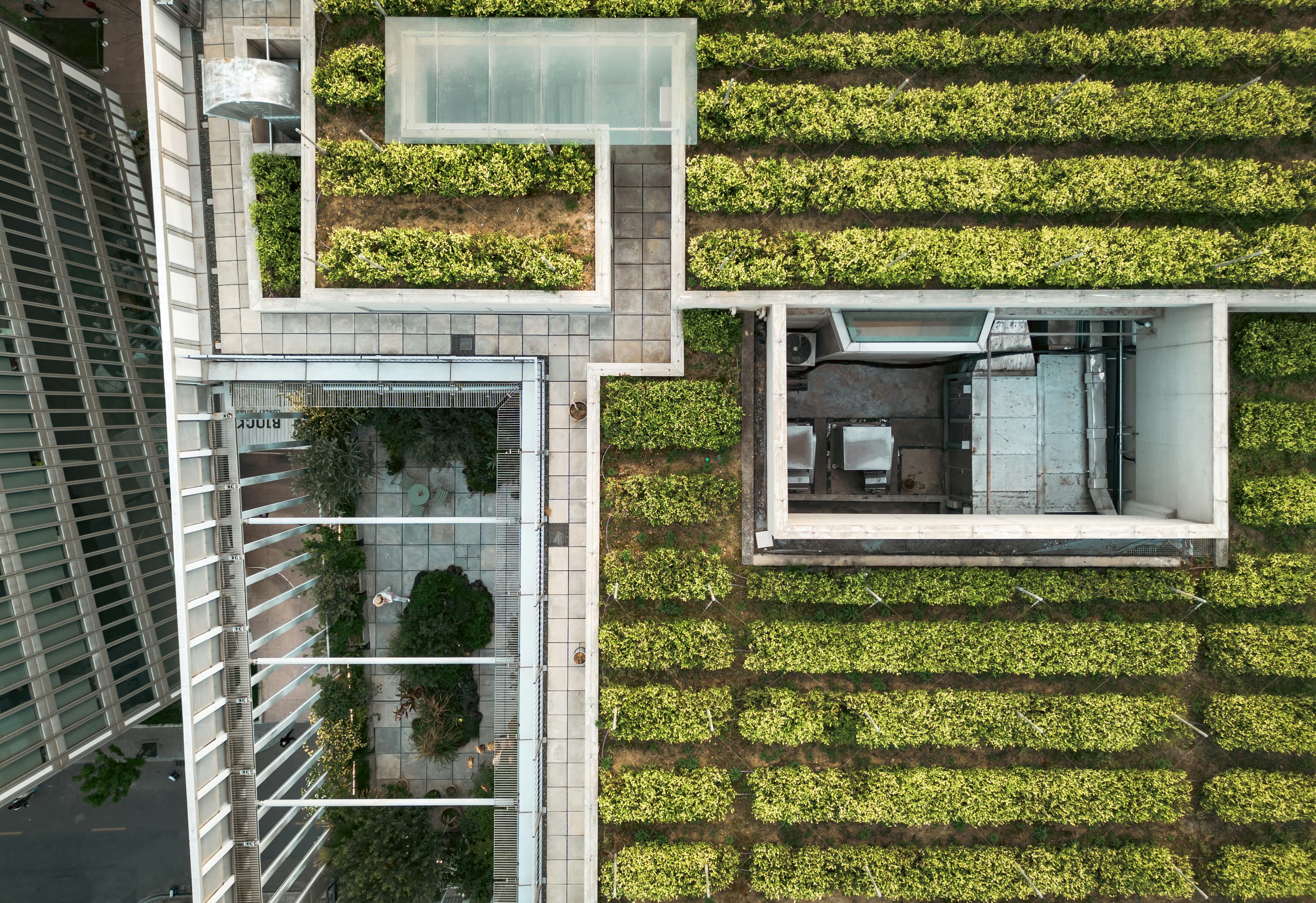 Urban Agriculture - Cities as cultivation sites, ancient to present