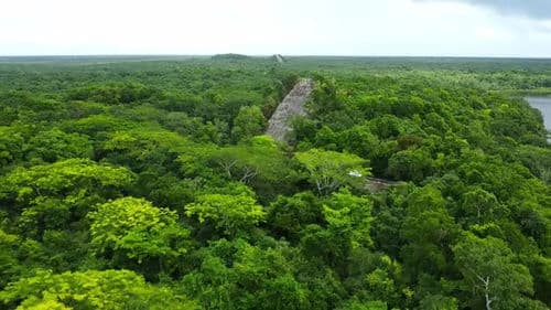 Mist rolling over ancient Mesoamerican step pyramids surrounded by dense jungle